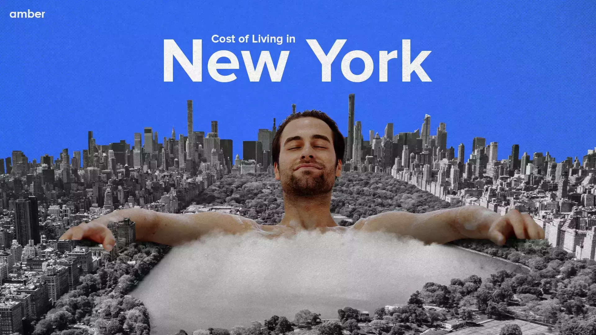 Cost of Living in New York for Students Amber